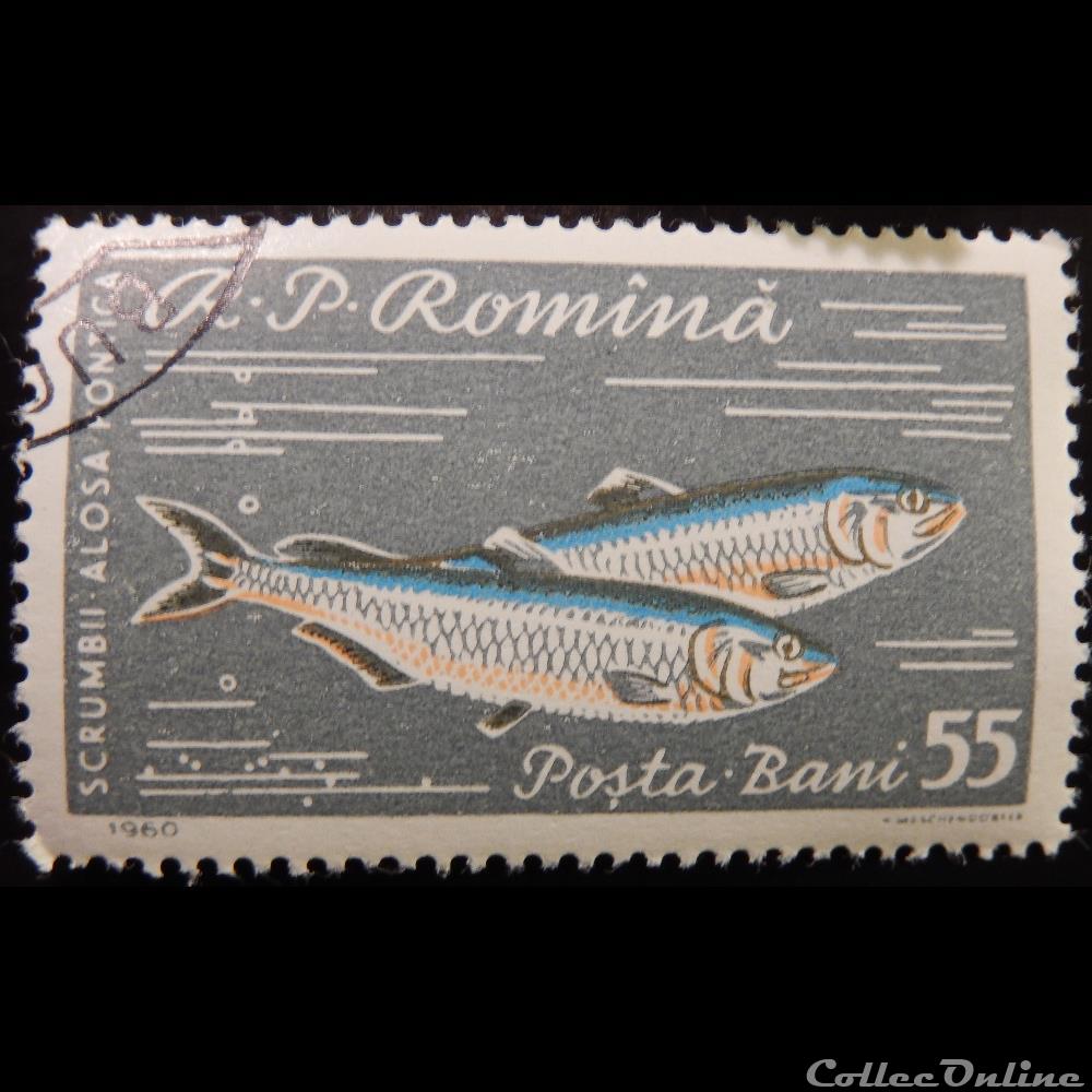 Roumanie 01744 Alose 55 Bani de 1960 timbre europe roumanie 01744 alose 55 bani de 1960