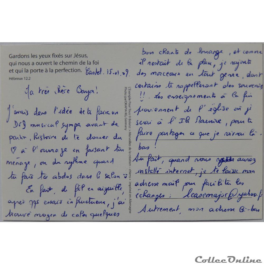 CP Citation biblique, Chiens carte postale outre mer cp citation biblique chiens