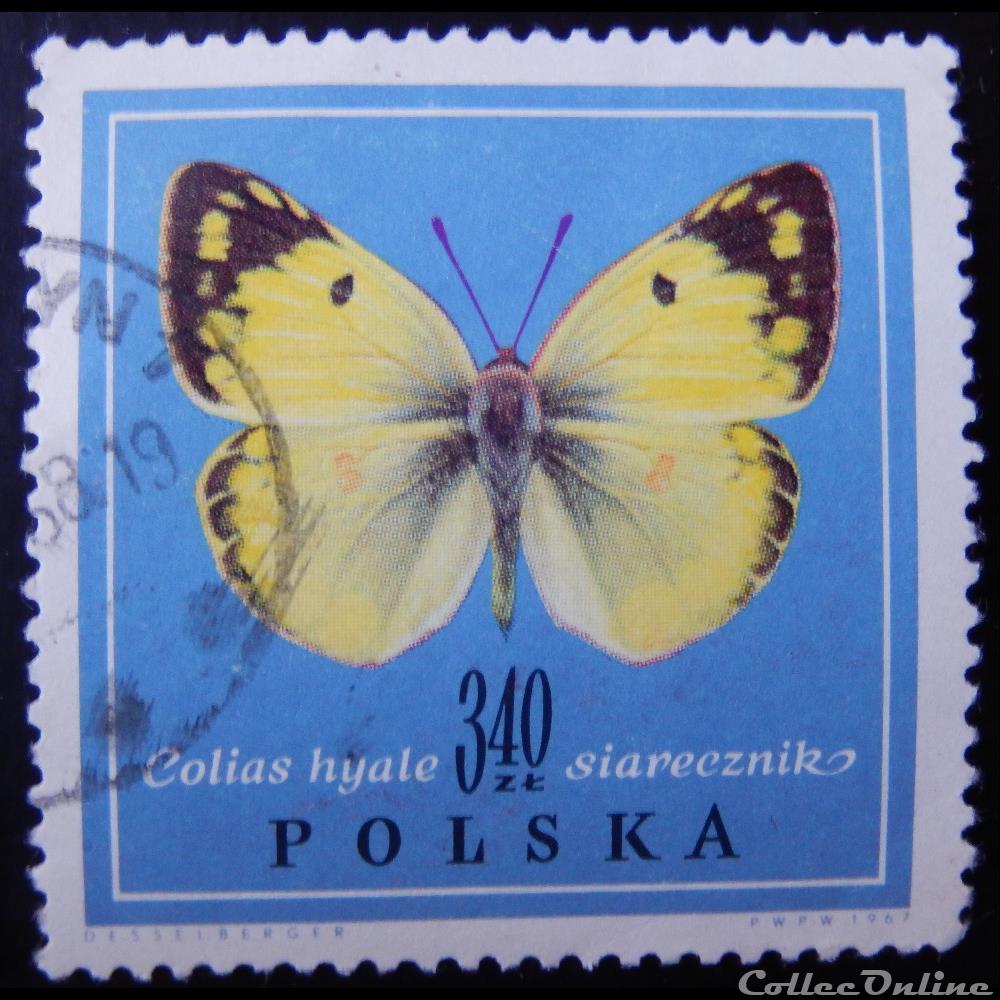 timbre europe pologne 01657 papillon soufre 3 40zt de 1967