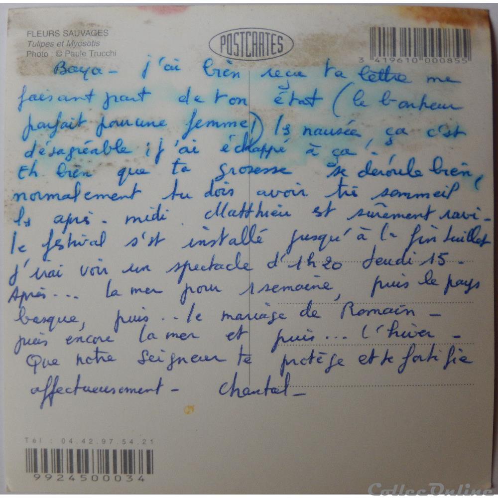 CP Flore, Tulipes et Myosotis carte postale europe nord pa de calai cp flore tulipes et myosotis