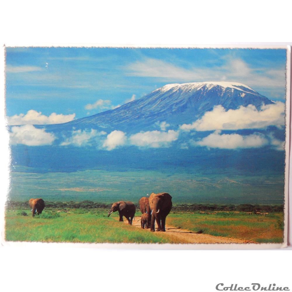 CP du Kenya, le Kilimanjaro - Postcards - Africa