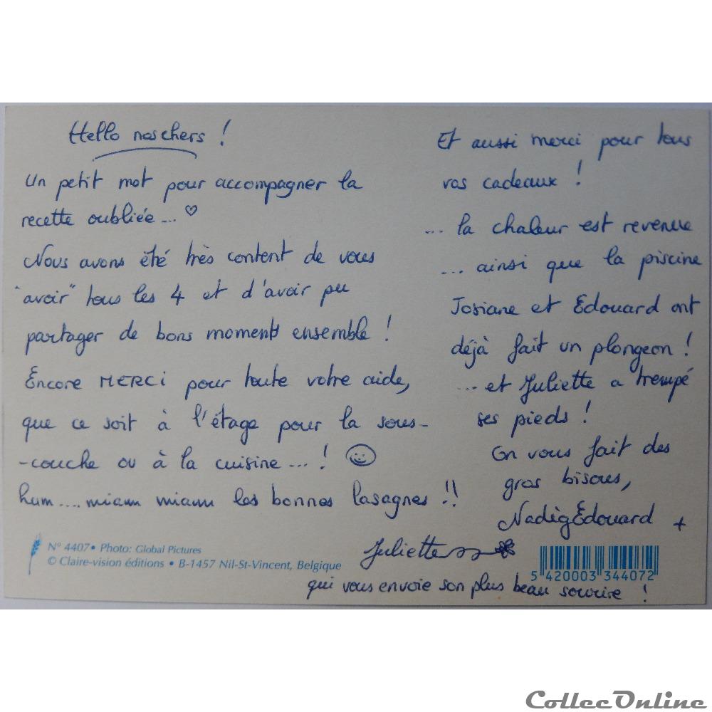 Cp Citation Lionne Et Lionceau Postcards Europe