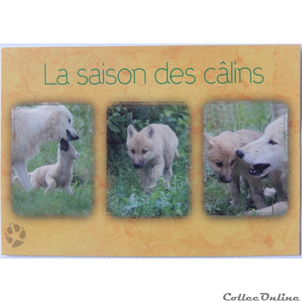 carte postale poitou charente cp animaux loup