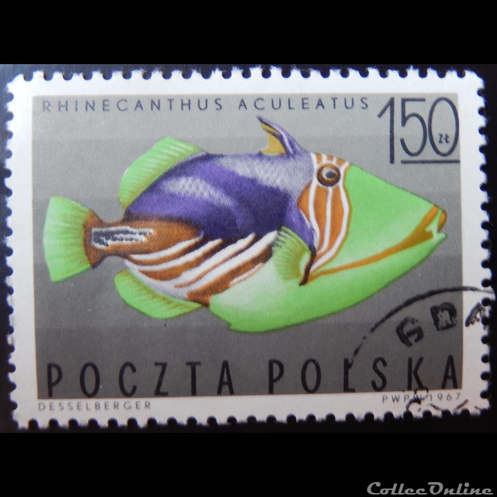 timbre europe pologne 01603 baliste picasso clair 1 50zt de 1967