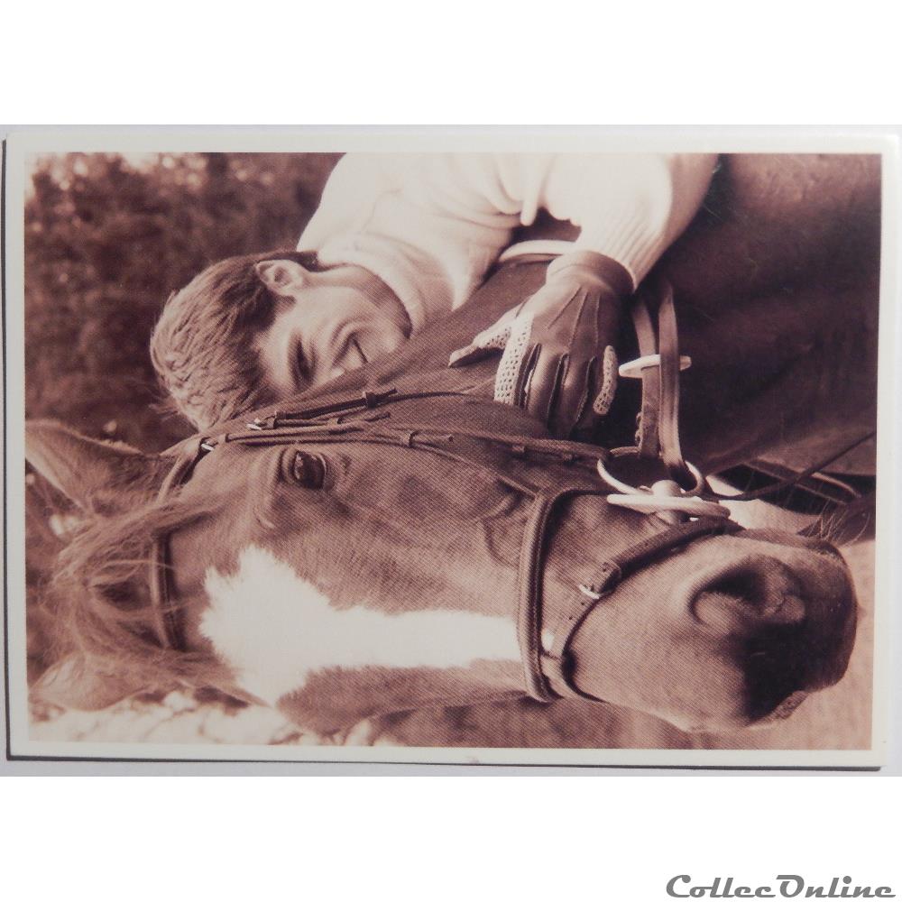 CP Personnalités, Cheval et Lambert Wilson carte postale alsace cp personnalites cheval et lambert wilson