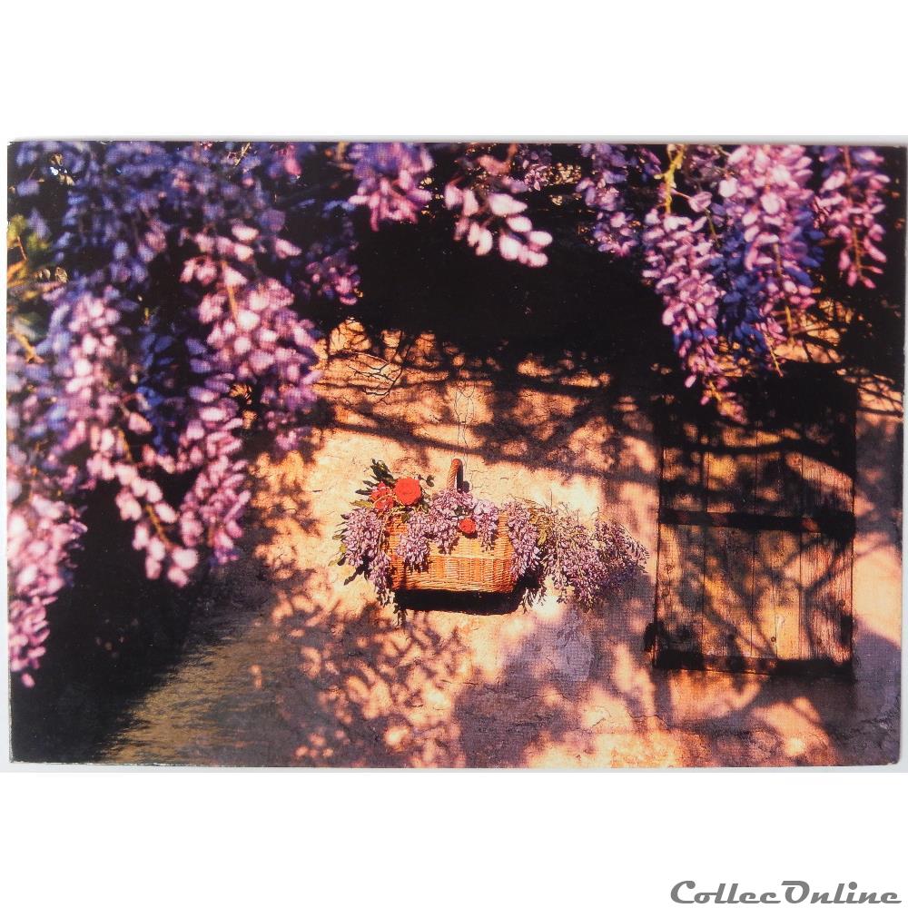 carte postale france provence cote azur cp paysage pays mediterraneen