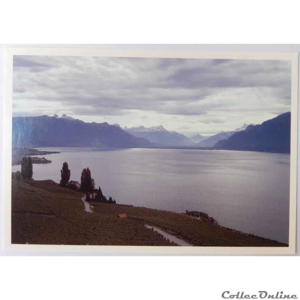 CP de Suisse, Genève, Lac Léman carte postale europe provence cote azur cp de suisse geneve lac leman