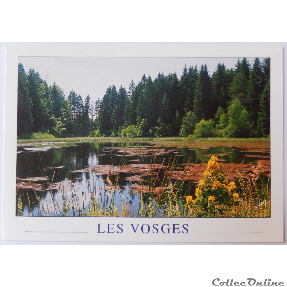 carte postale france lorraine cp des vosges etang de bachetey