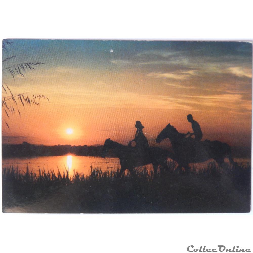 CP de la Camargue carte postale france provence cote azur cp de la camargue