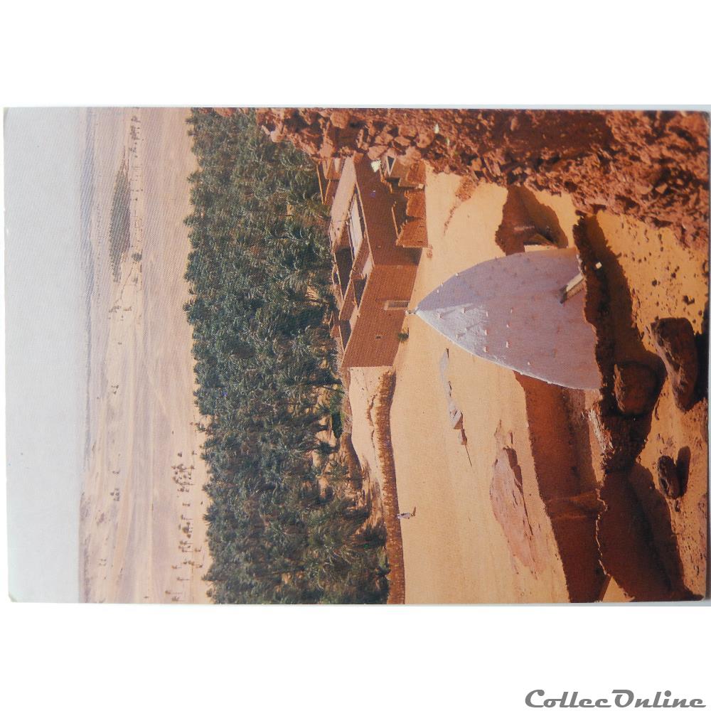 carte postale afrique languedoc roussillon cp algerie la gourara