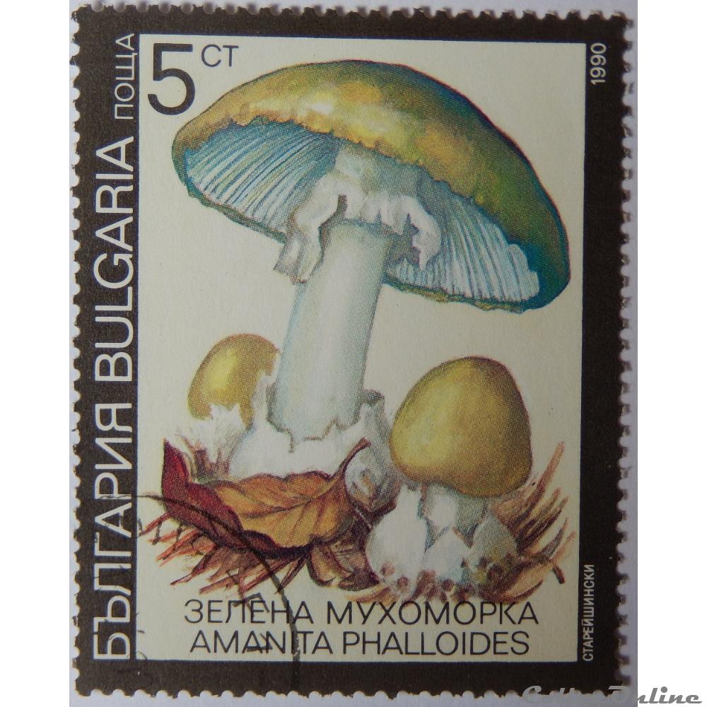 Bulgarie 03352 Amanite phalloïde 5CT de 1991 timbre europe bulgarie 03352 amanite phalloide 5ct de 1991