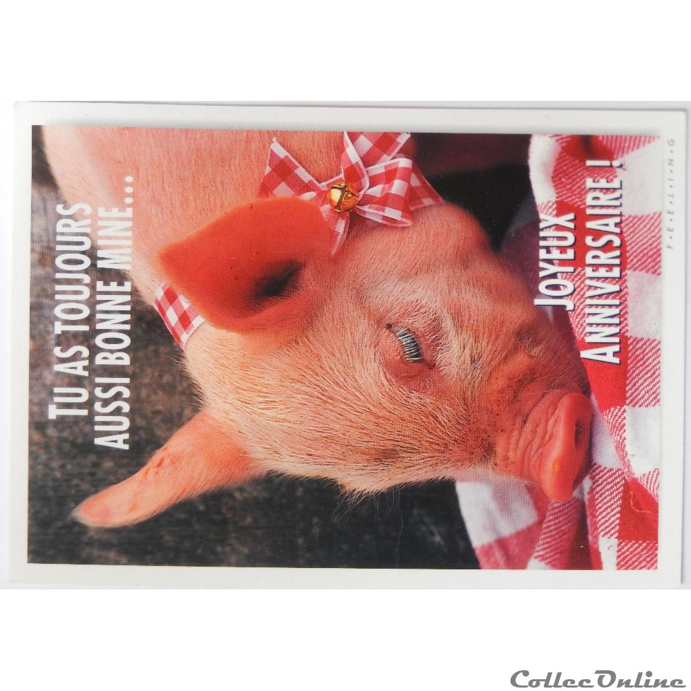 Cp Joyeux Anniversaire Avec Cochon Postcards