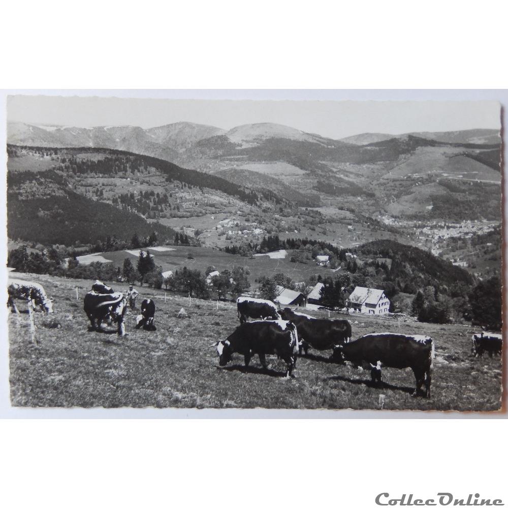 CPA du Haut-Rhin, Sondernach, Landersen carte postale france alsace cpa du haut rhin sondernach landersen