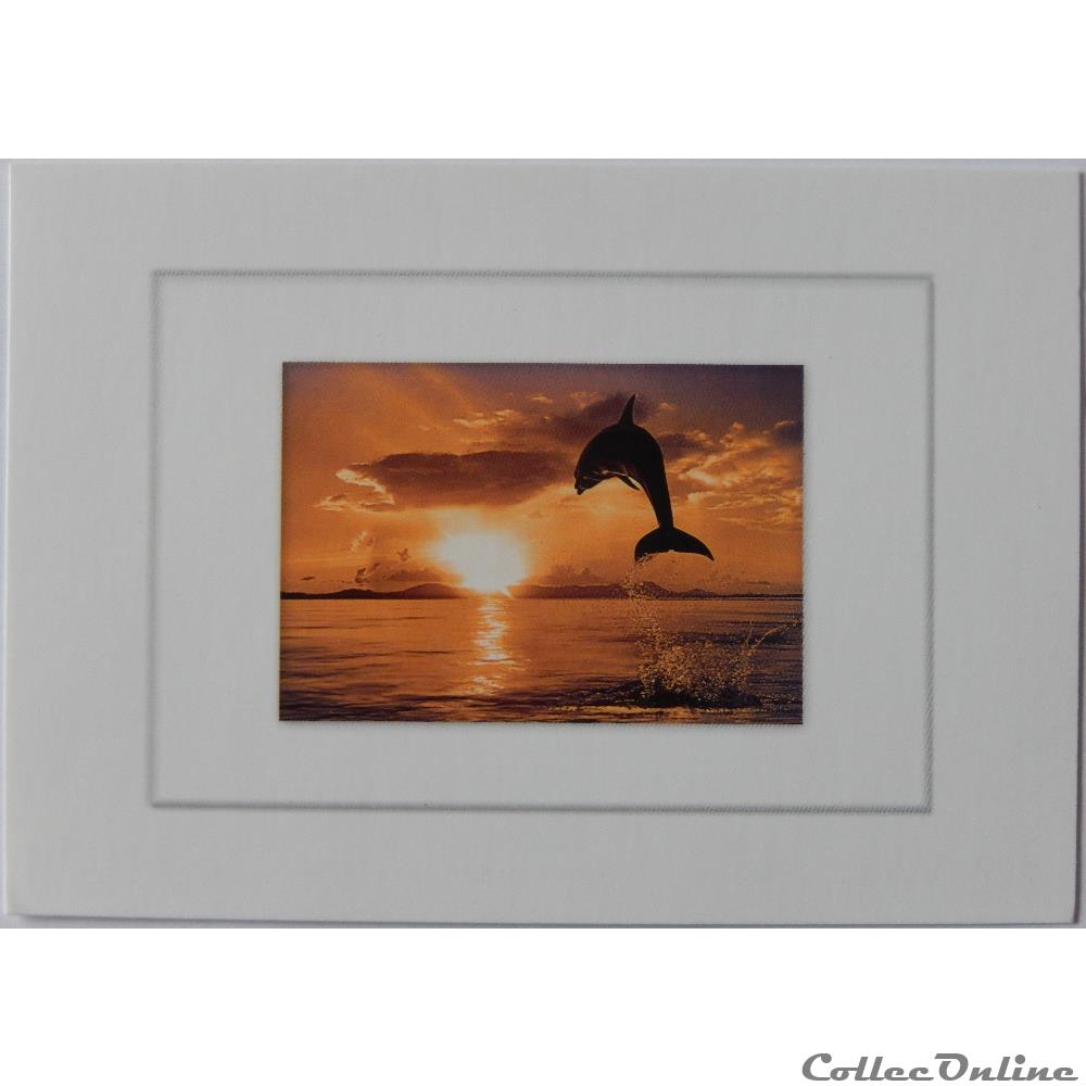 CP Animaux, Dauphin carte postale alsace cp animaux dauphin