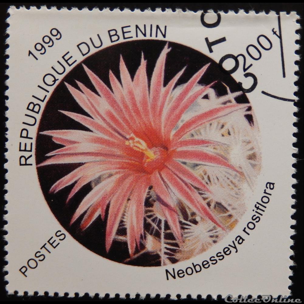 timbre afrique benin 00936 cactus neobesseya rosiflora 200f de 1999