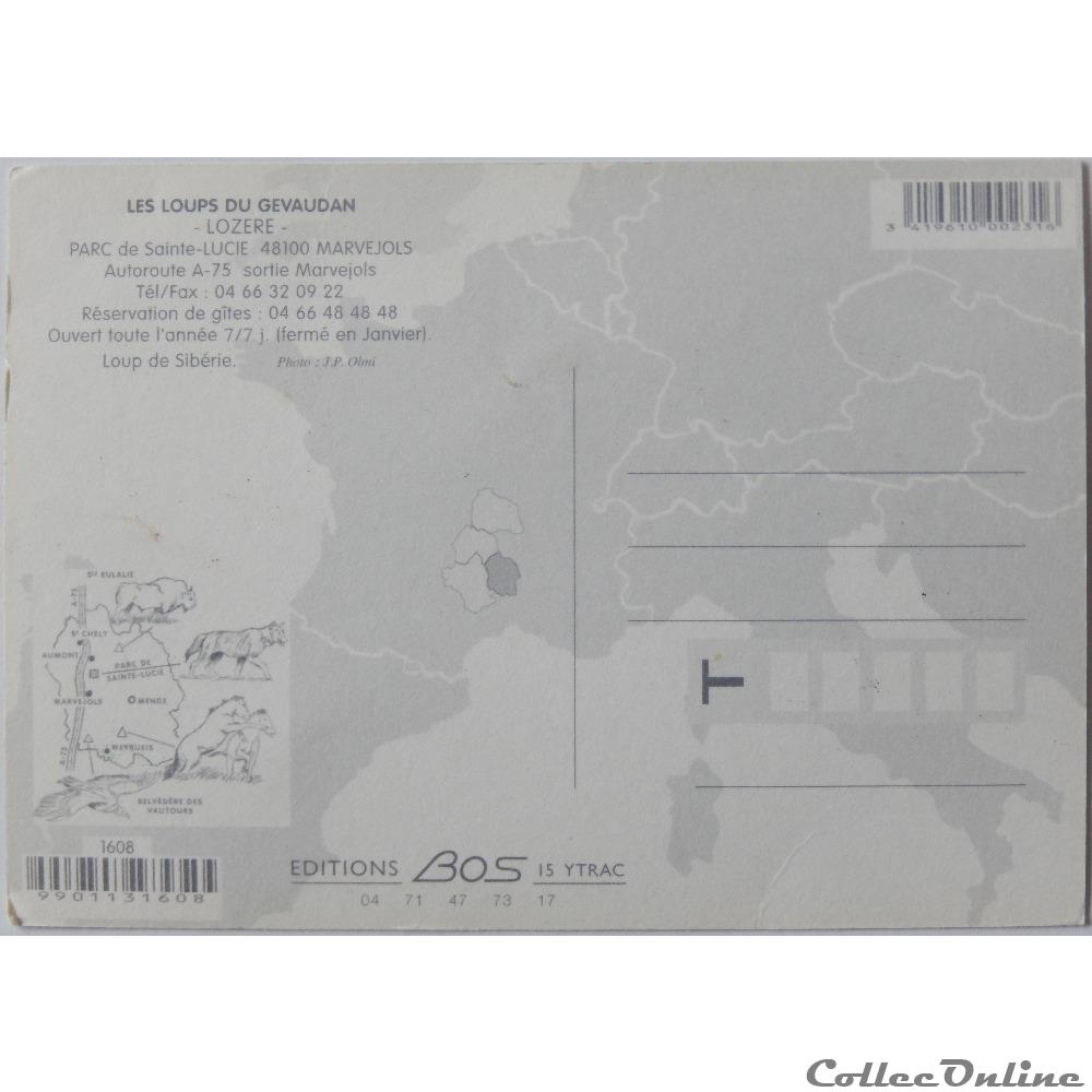 carte postale provence cote d azur cp animaux loup