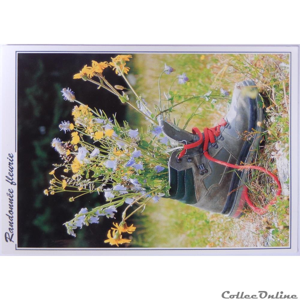 carte postale europe alsace cp flore