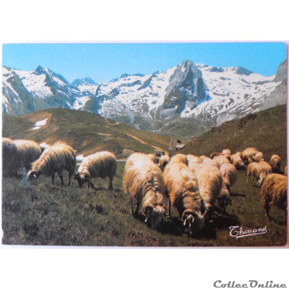CP des Pyrénées-Atlantiques, Col d'Aubisque carte postale france aquitaine cp des pyrenees atlantiques col aubisque