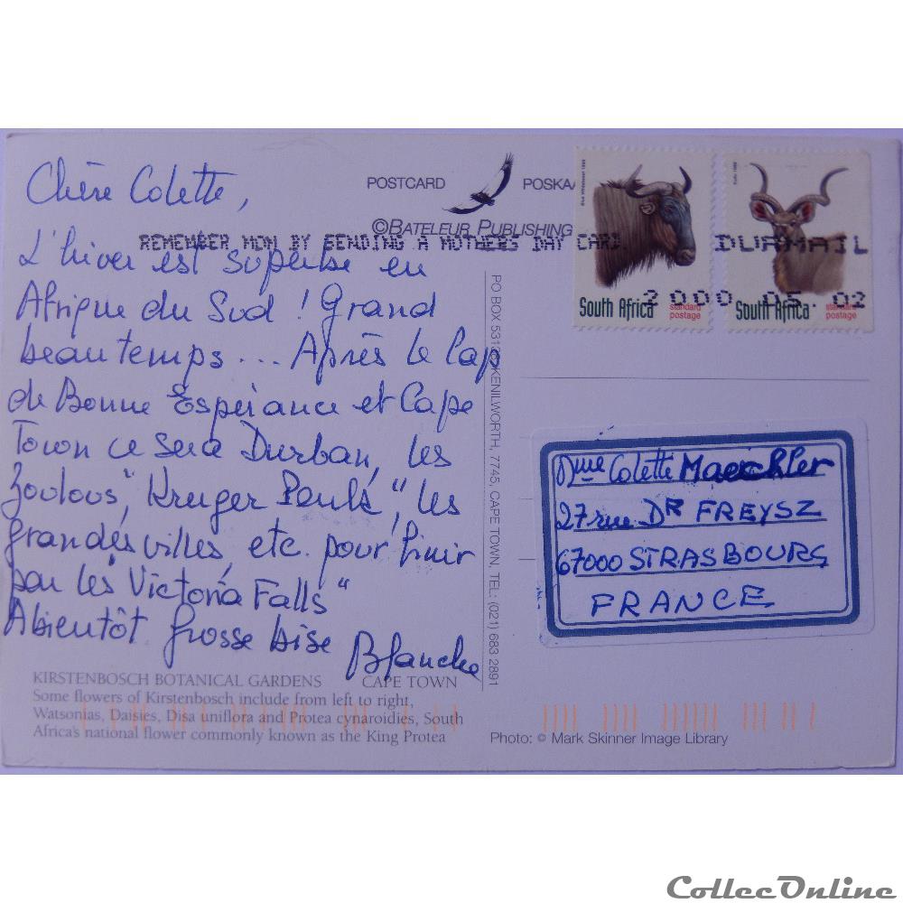 CP d'Afrique du Sud, Le Cap carte postale alsace cp afrique du sud le cap
