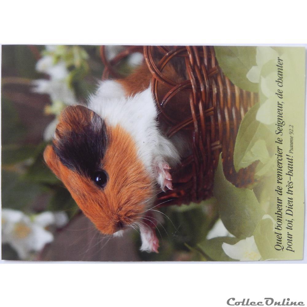 carte postale bretagne cp citation biblique