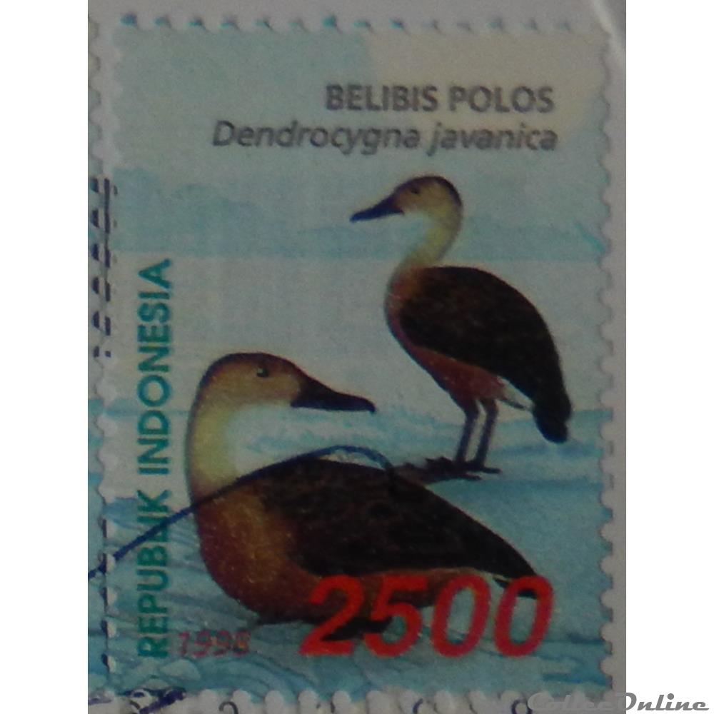 timbre asie indonesie 01657 oiseau dendrocygne siffleur 2500rp de 1998