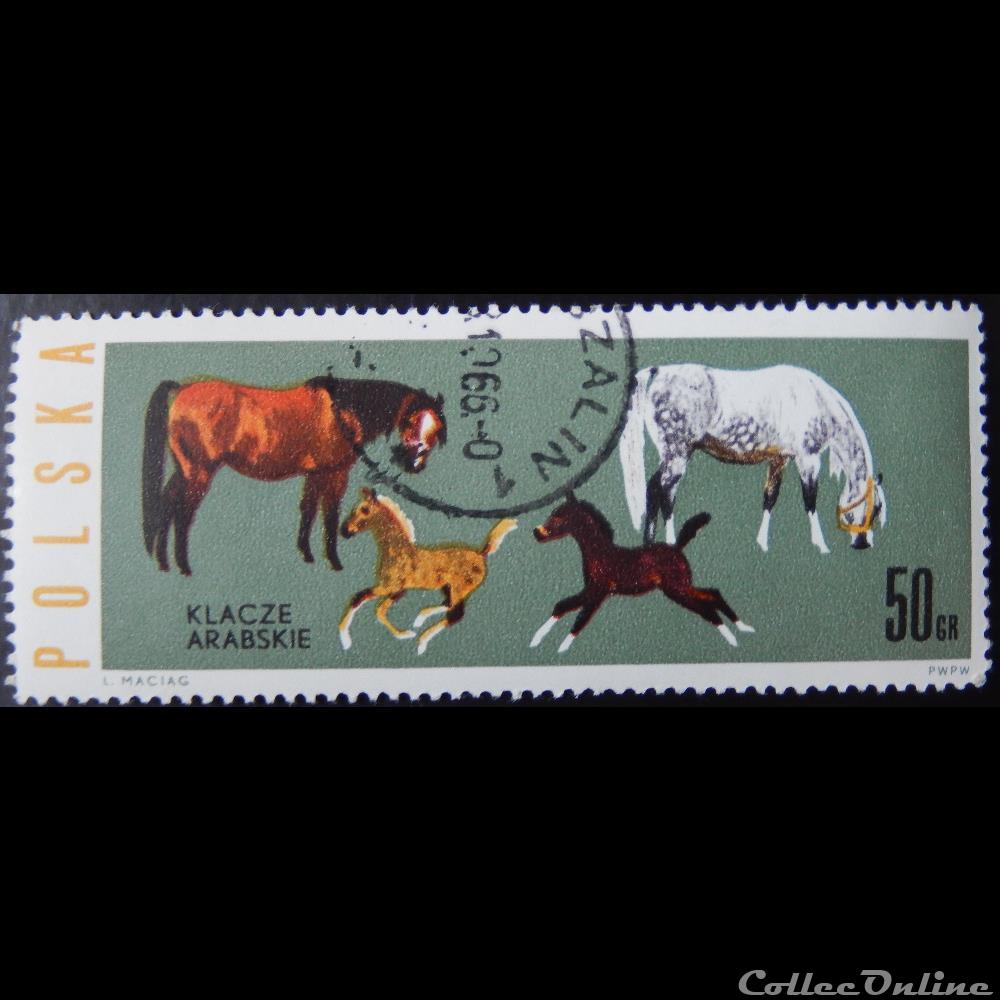 timbre europe pologne 01315 juments et poulains arabe 50gr de 1963