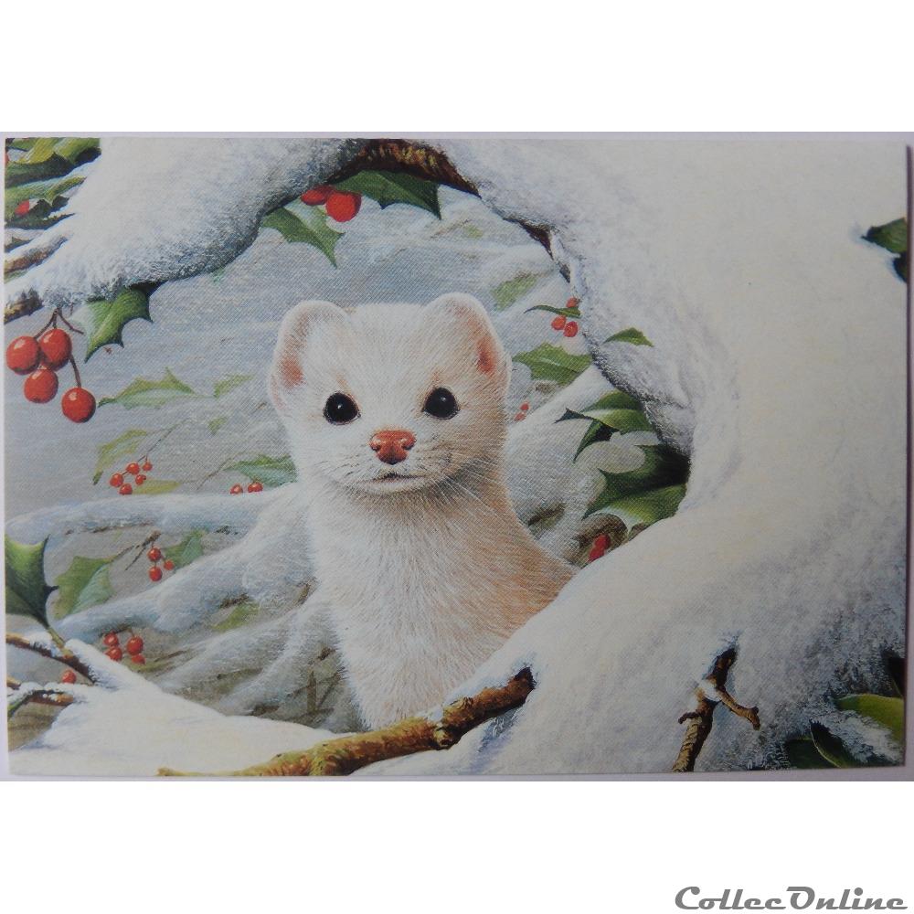 carte postale provence cote d azur cp animaux hermine