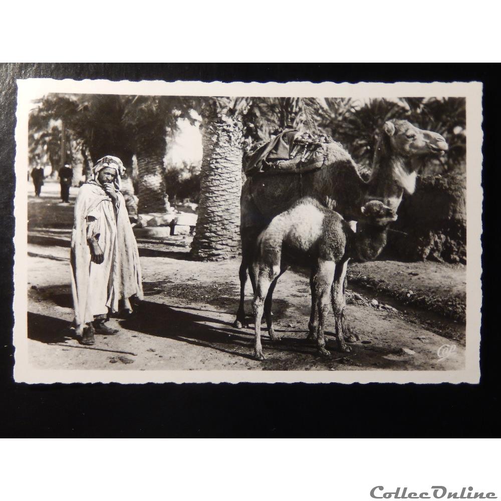 CPA scène africaine carte postale afrique champagne ardenne cpa scene africaine