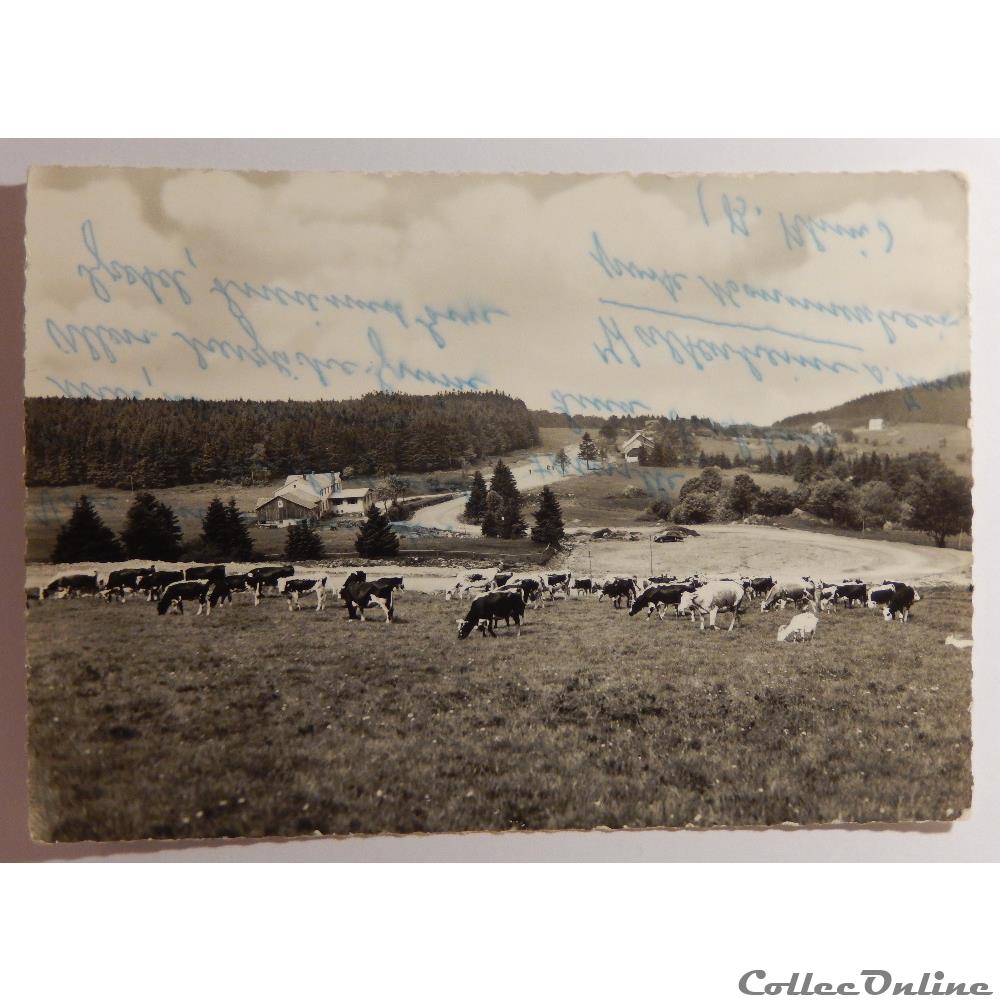 CPA du Champ-du-Feu, Bas-Rhin carte postale france alsace cpa du champ du feu bas rhin