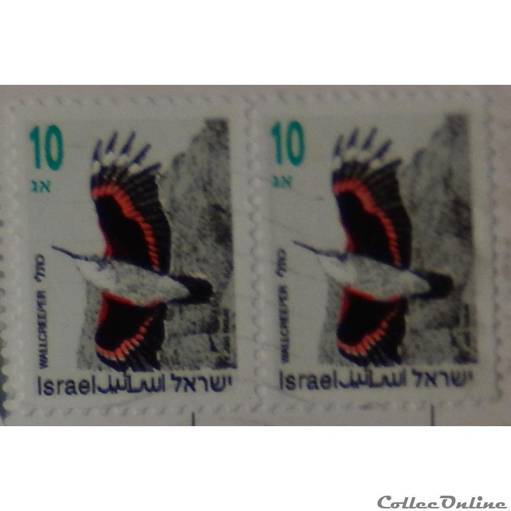 Israël 01193 Tichodrome Echelette 10n de 1992 timbre asie israel 01193 tichodrome echelette 10n de 1992
