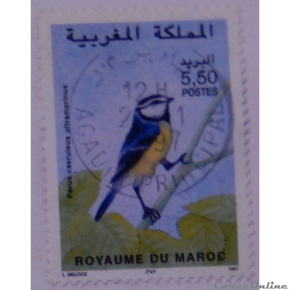 Maroc 01215 oiseau Mésange bleue d'Afrique du Nord 5.50d de 1997 timbre maroc 01215 oiseau mesange bleue afrique du nord 5 50d de 1997