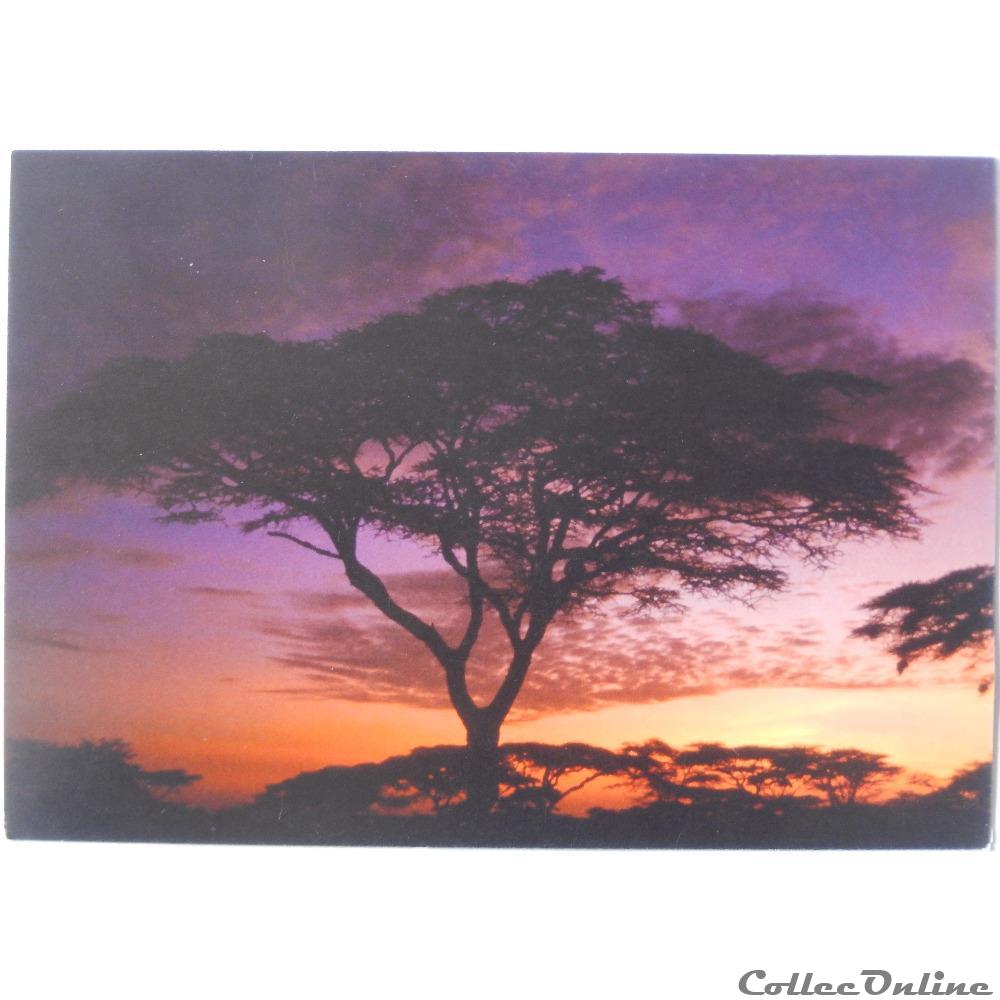 carte postale afrique basse normandie cp de tanzanie serengeti