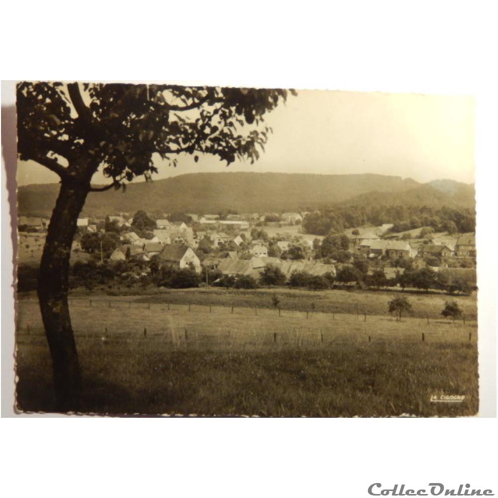 carte postale france lorraine cpa de moselle baerenthal