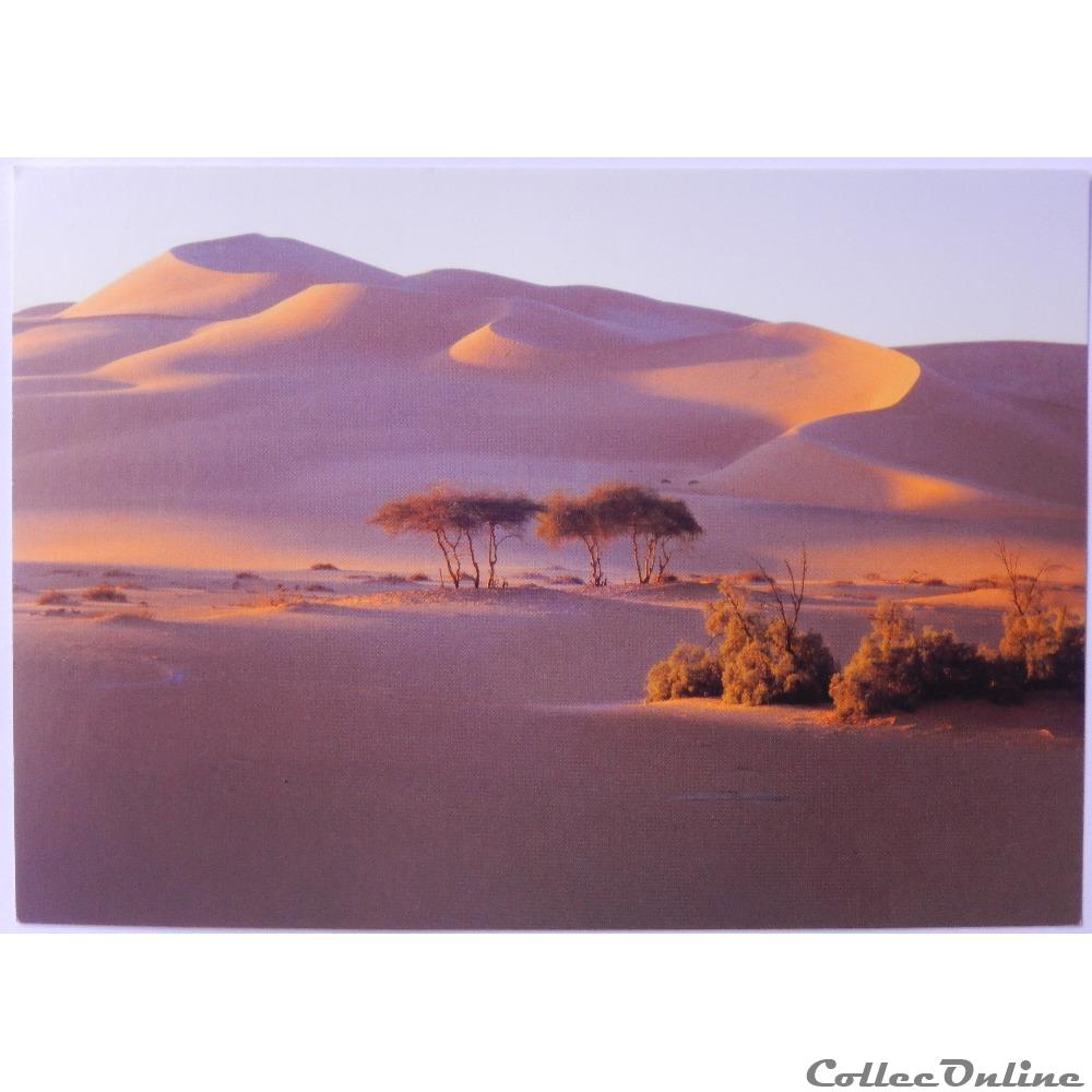 CP de Libye, Fezzan, le Sahara carte postale afrique alsace cp de libye fezzan le sahara