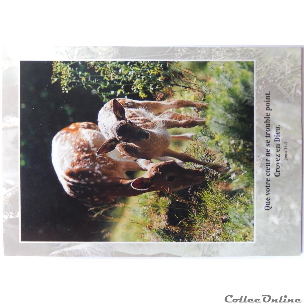 carte postale europe alsace cp citation biblique biche et faon