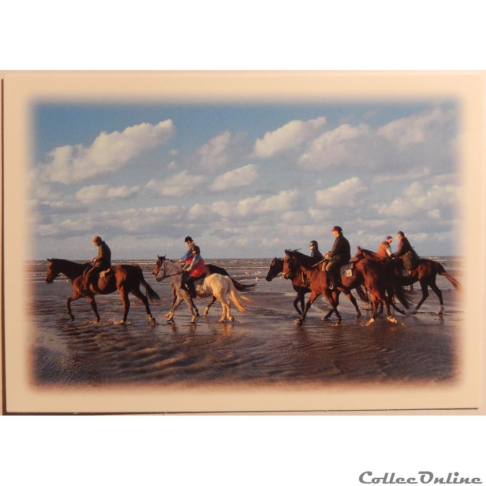 CP Paysage, la mer avec cavaliers carte postale europe languedoc roussillon cp paysage la mer avec cavaliers