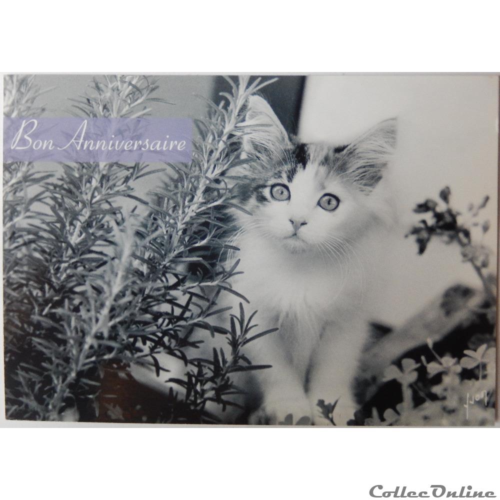 carte postale outre mer cp bon anniversaire