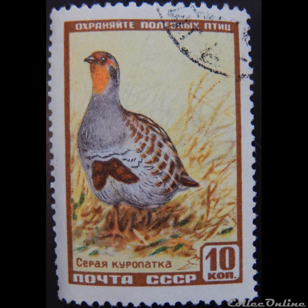 URSS 01903C Perdrix grise 10 k de 1957 timbre europe russie urss 01903c perdrix grise 10 k de 1957