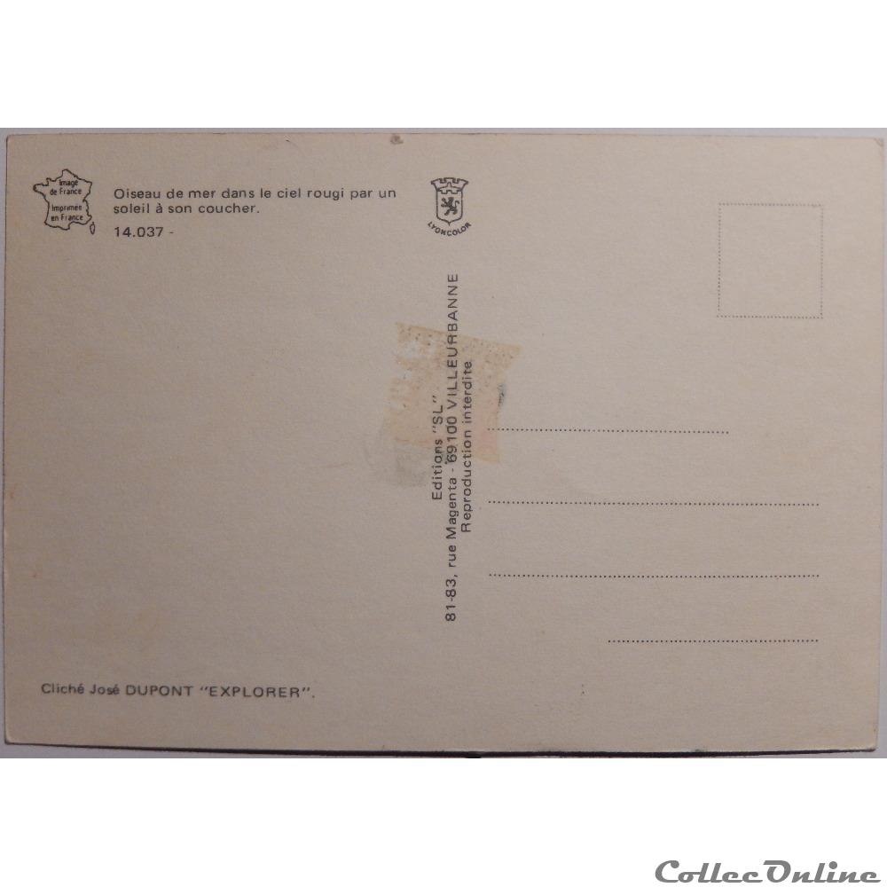 carte postale europe alsace cp animaux goeland