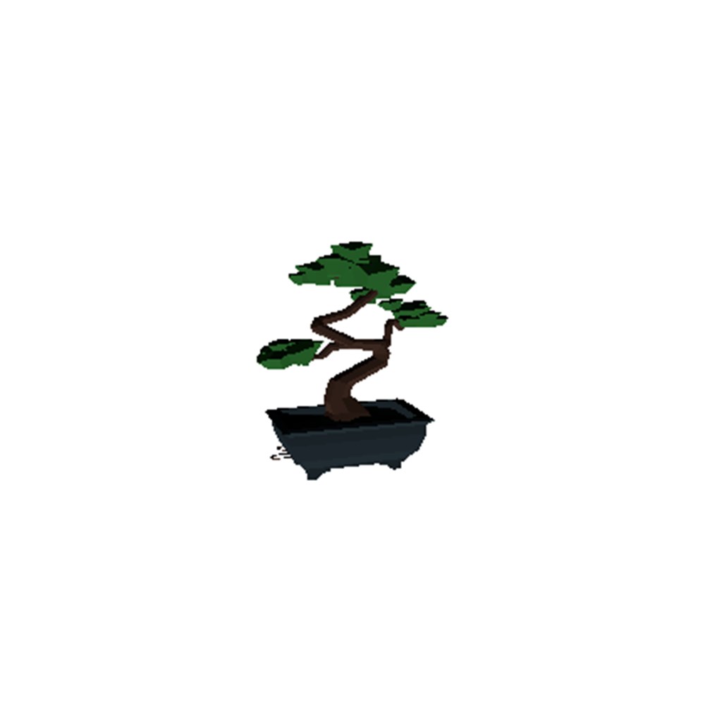 bonsai