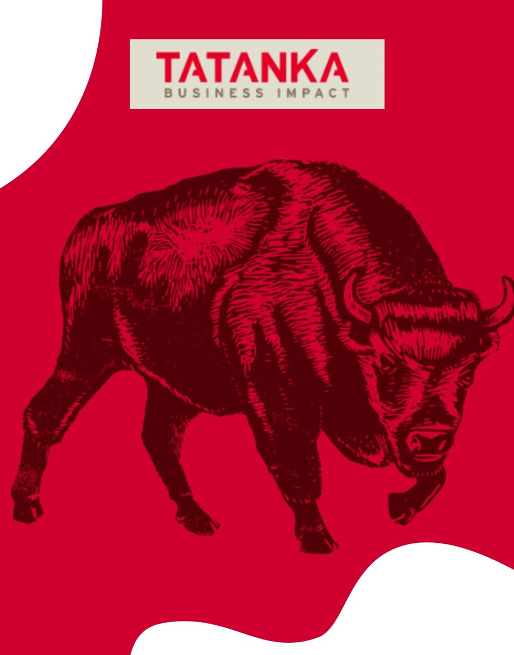 decouvrez tatanka