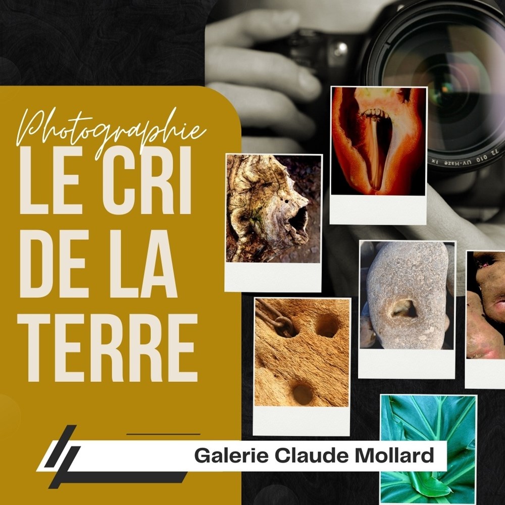 galerie claude mollard