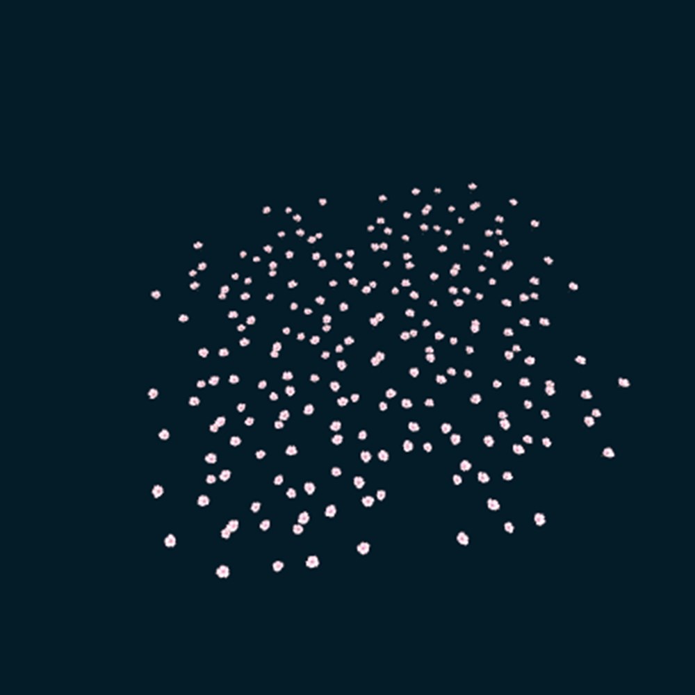 bloom