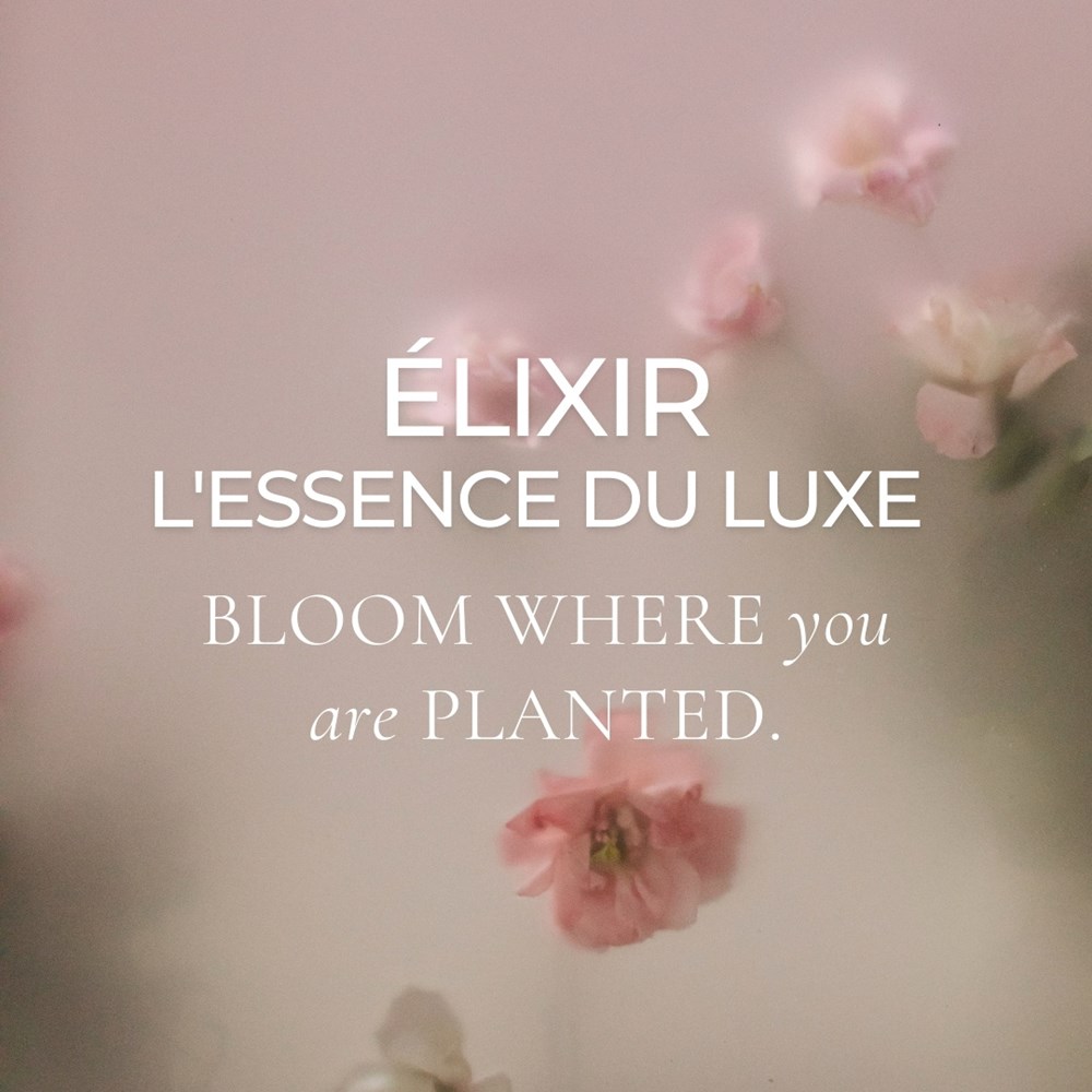 bloom