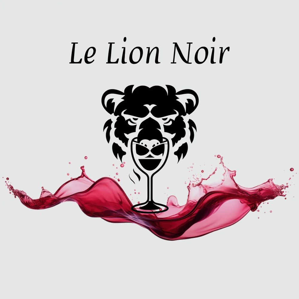 poster 2 le lion noir