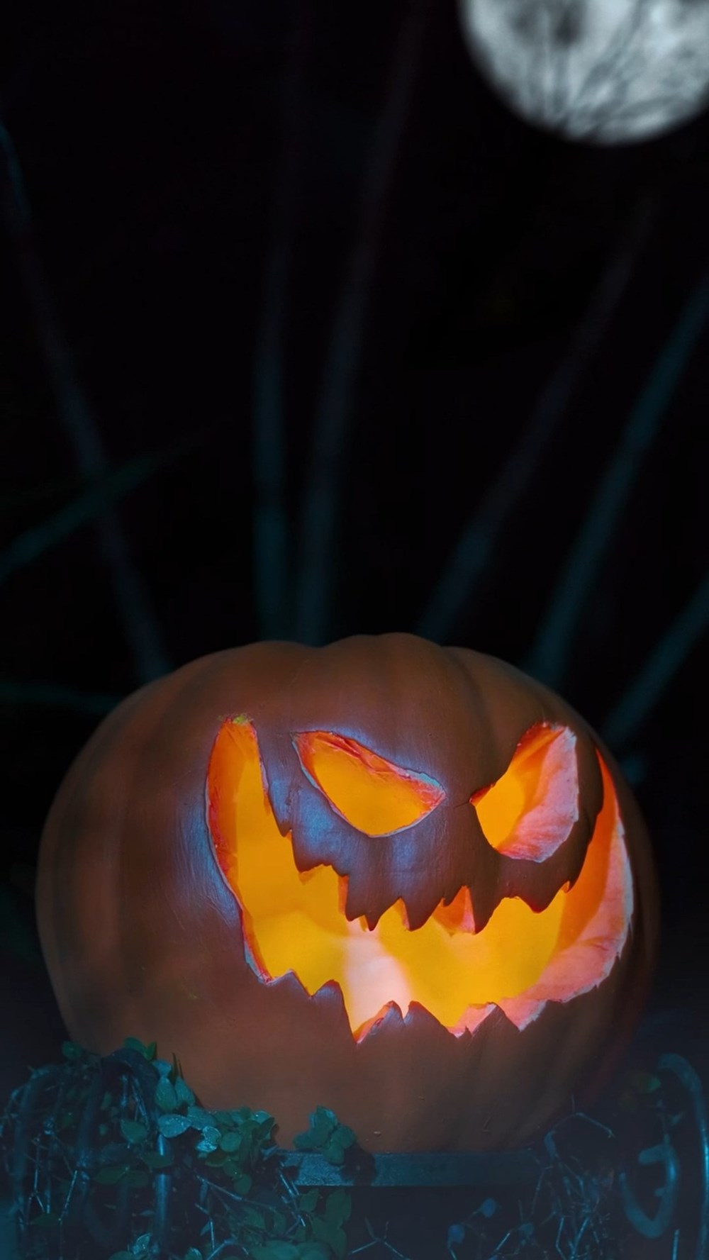 Video pumpkin 1 video pumpkin 1