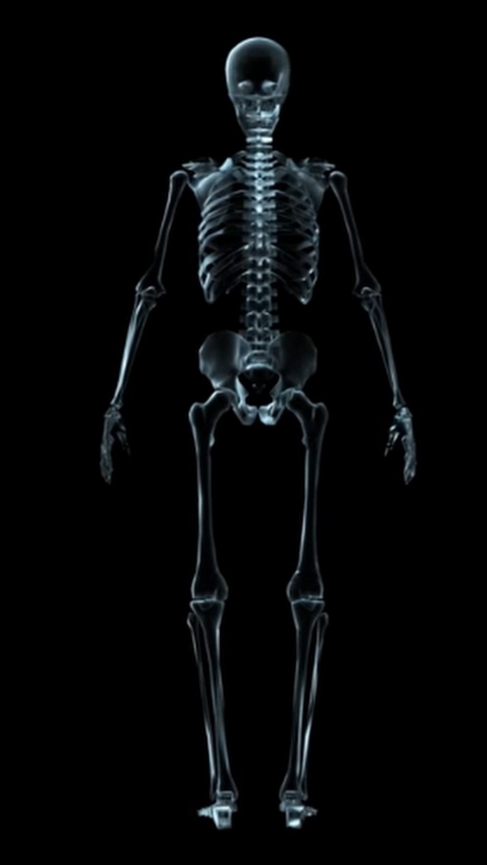 Video skeleton 5 video skeleton 5