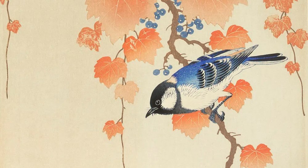 Ohara Koson wallpaper, Japanese desktop background, Great tit on paulownia branch Japanese print art antiquites asiatique ohara koson wallpaper japanese desktop background great tit on paulownia branch japanese print