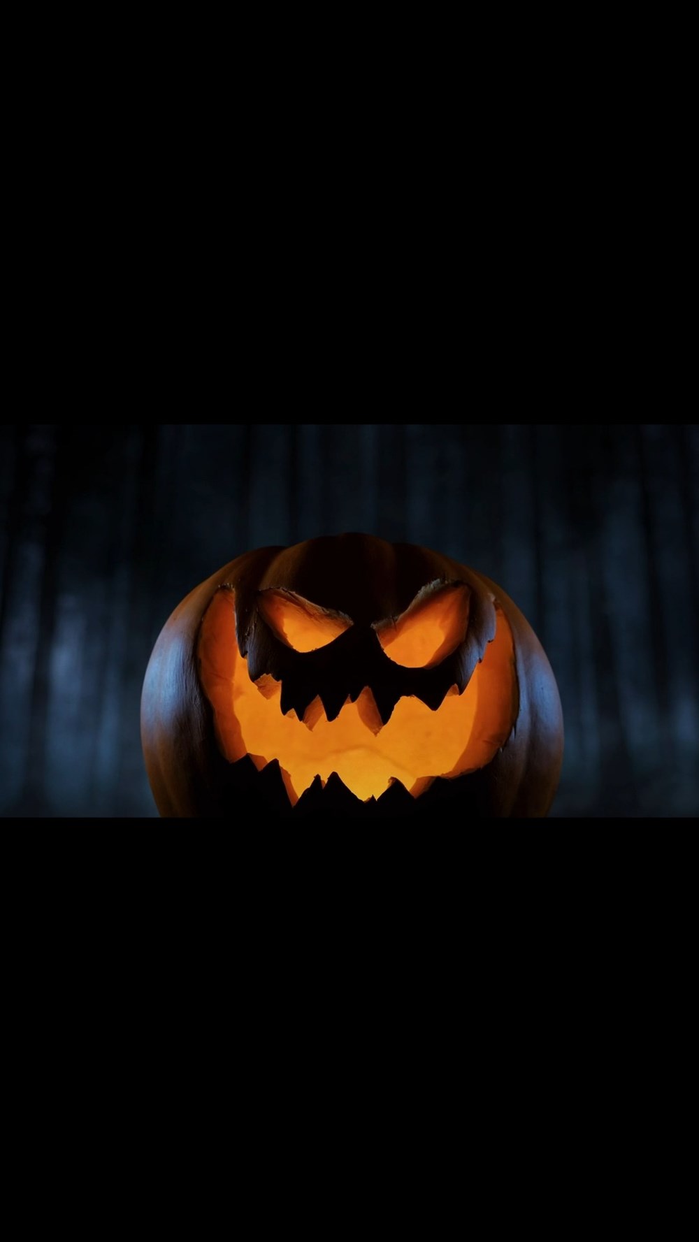 Video pumpkin 2 video pumpkin 2