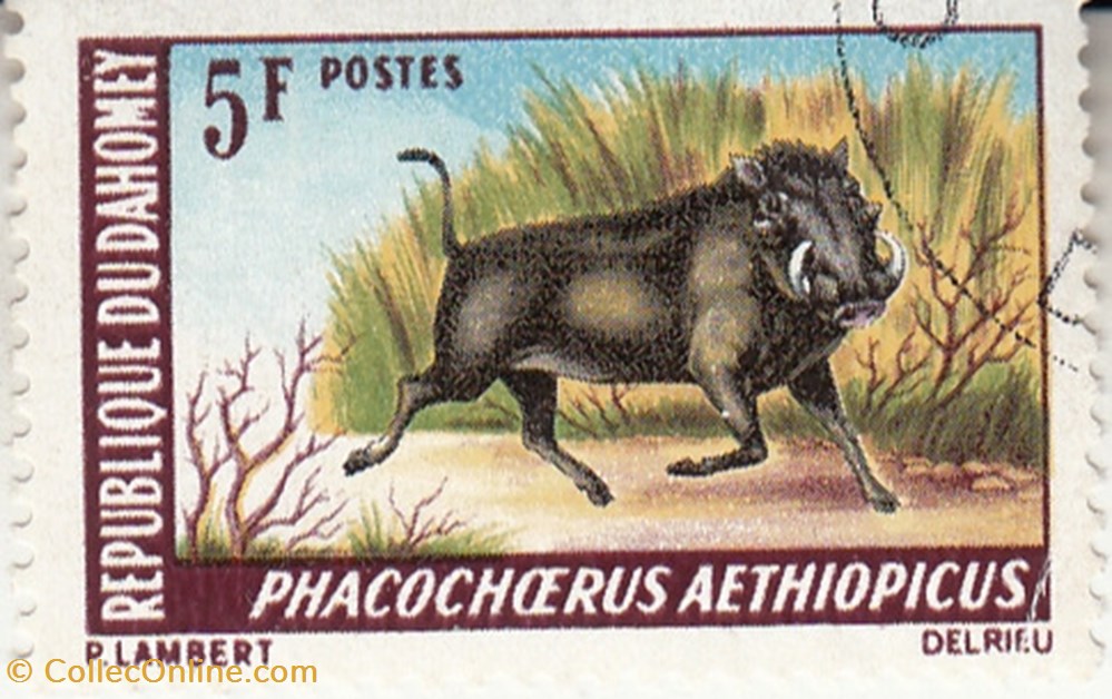 phacochoerus aethiopicus p timbres phacochoerus aethiopicus p